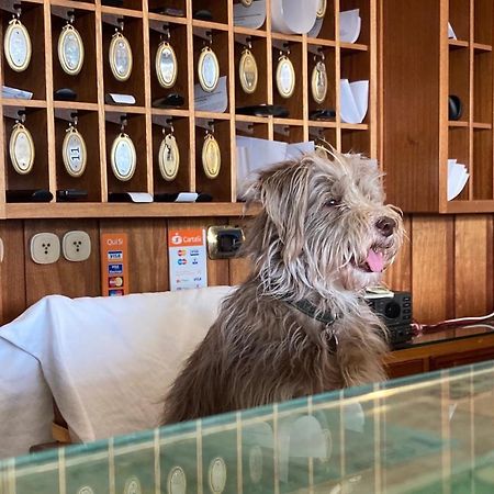 Hotel Ping Pong Лидо ди Остия Екстериор снимка