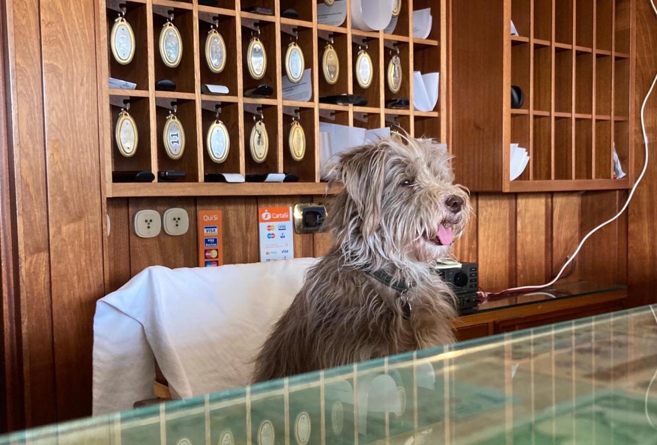 Hotel Ping Pong Лидо ди Остия Екстериор снимка